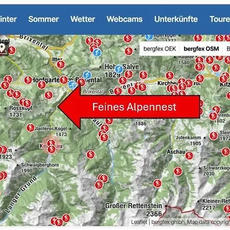 Feines Alpennest Хопфгартен-им-Бриксенталь